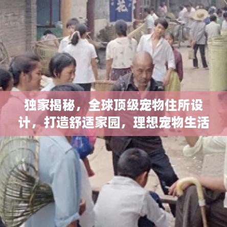 独家揭秘，全球顶级宠物住所设计，打造舒适家园，理想宠物生活排名榜单！