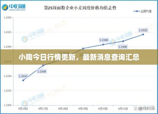 小陶今日行情更新，最新消息查询汇总