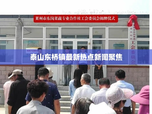 泰山东桥镇最新热点新闻聚焦