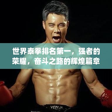 世界泰拳排名第一，强者的荣耀，奋斗之路的辉煌篇章