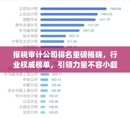 报税审计公司排名重磅揭晓，行业权威榜单，引领力量不容小觑