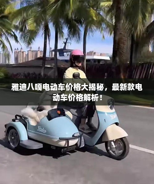 雅迪八嘎电动车价格大揭秘，最新款电动车价格解析！