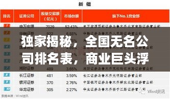 独家揭秘，全国无名公司排名表，商业巨头浮出水面！