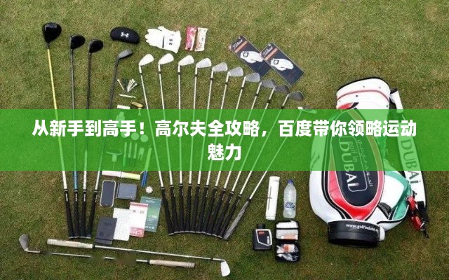 从新手到高手！高尔夫全攻略，百度带你领略运动魅力