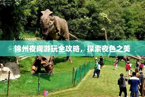 锦州夜间游玩全攻略，探索夜色之美
