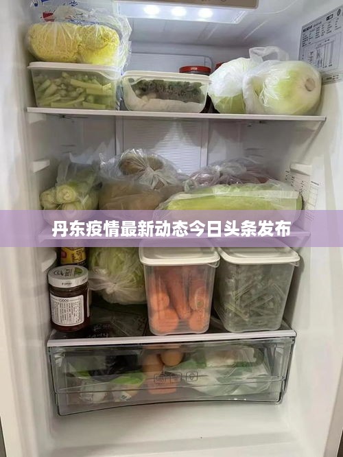 丹东疫情最新动态今日头条发布