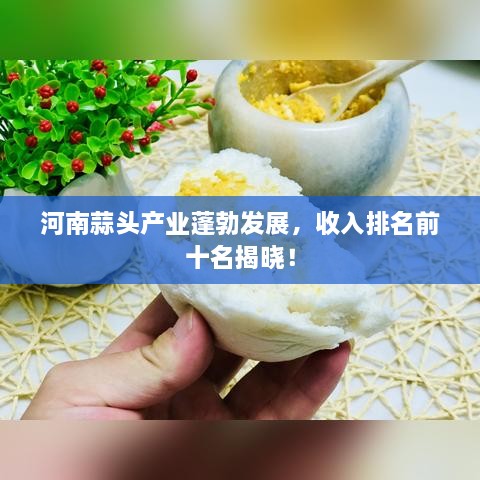 河南蒜头产业蓬勃发展，收入排名前十名揭晓！