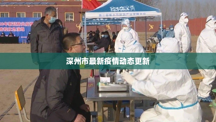 深州市最新疫情动态更新