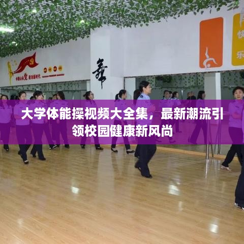 大学体能操视频大全集，最新潮流引领校园健康新风尚