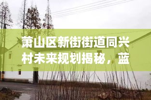 萧山区新街街道同兴村未来规划揭秘，蓝图展望，引领乡村新篇章