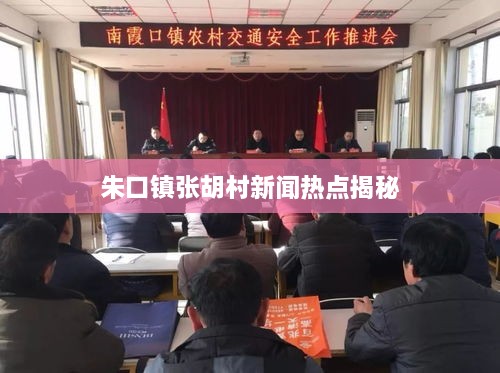 朱口镇张胡村新闻热点揭秘