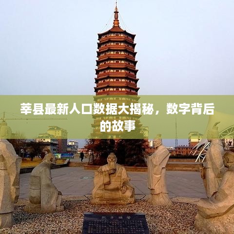 莘县最新人口数据大揭秘，数字背后的故事