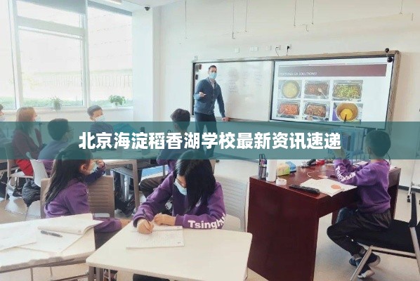 北京海淀稻香湖学校最新资讯速递