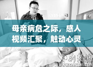 母亲病危之际，感人视频汇聚，触动心灵瞬间