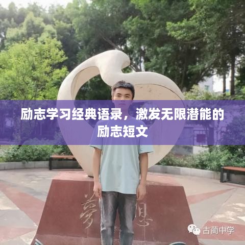 励志学习经典语录，激发无限潜能的励志短文