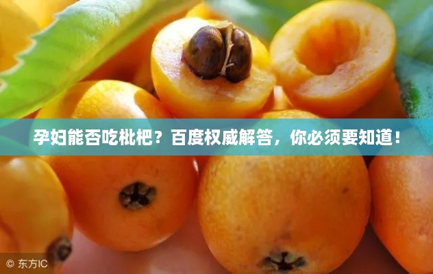孕妇能否吃枇杷？百度权威解答，你必须要知道！