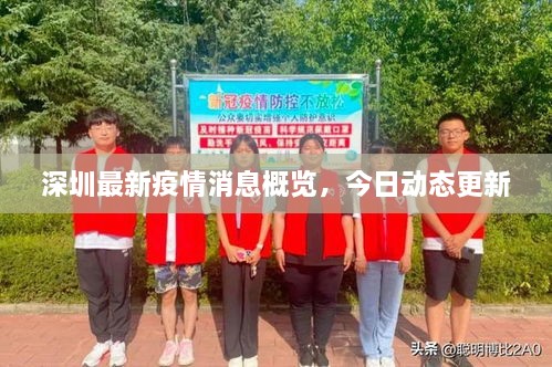 深圳最新疫情消息概览，今日动态更新