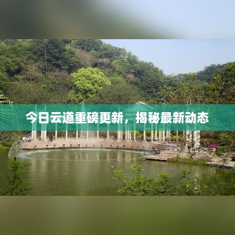 今日云道重磅更新，揭秘最新动态