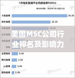 美国MSC公司行业排名及影响力解析