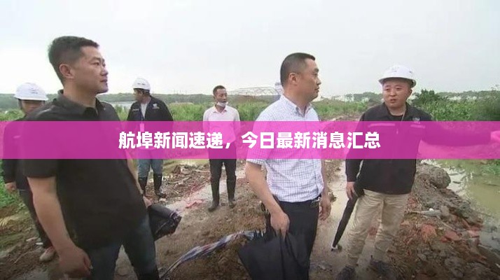 航埠新闻速递，今日最新消息汇总