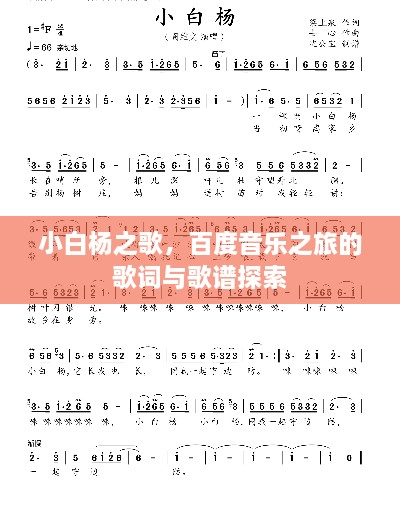 小白杨之歌，百度音乐之旅的歌词与歌谱探索