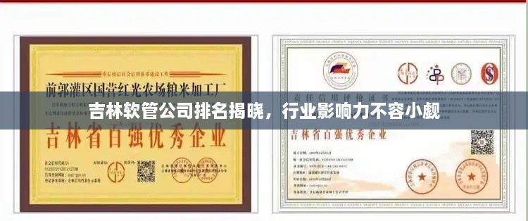 吉林软管公司排名揭晓，行业影响力不容小觑
