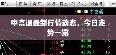 中富通最新行情动态，今日走势一览