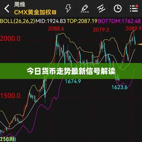 今日货币走势最新信号解读