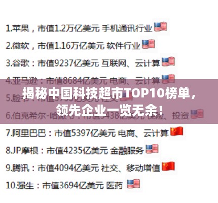 揭秘中国科技超市TOP10榜单，领先企业一览无余！