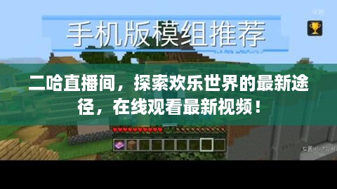 二哈直播间，探索欢乐世界的最新途径，在线观看最新视频！