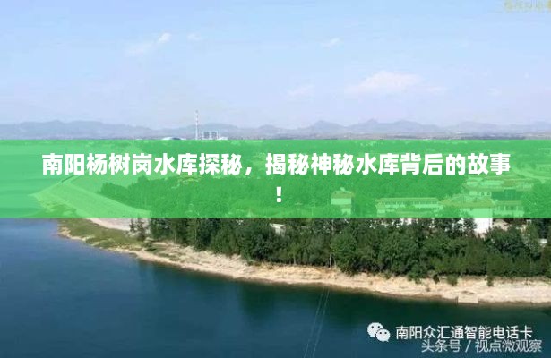 qingniaoyinqin 第2页