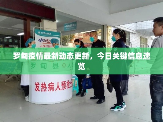 罗甸疫情最新动态更新，今日关键信息速览
