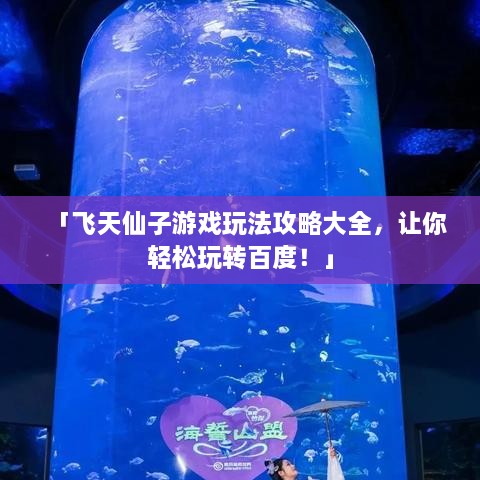 「飞天仙子游戏玩法攻略大全，让你轻松玩转百度！」