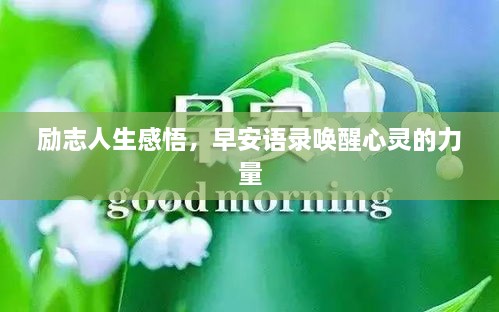 励志人生感悟，早安语录唤醒心灵的力量