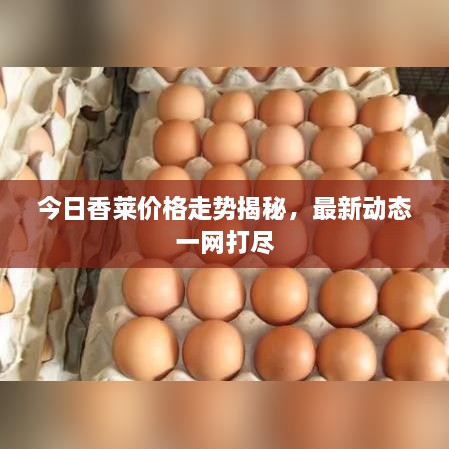 济济一堂 第2页
