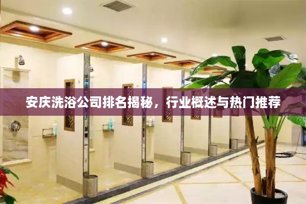 安庆洗浴公司排名揭秘，行业概述与热门推荐