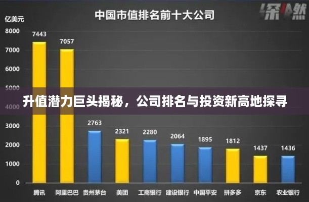 升值潜力巨头揭秘，公司排名与投资新高地探寻