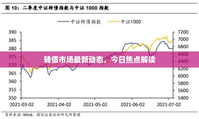 转债市场最新动态，今日焦点解读