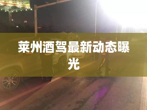 莱州酒驾最新动态曝光