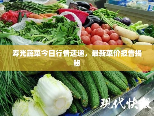 寿光蔬菜今日行情速递，最新菜价报告揭秘