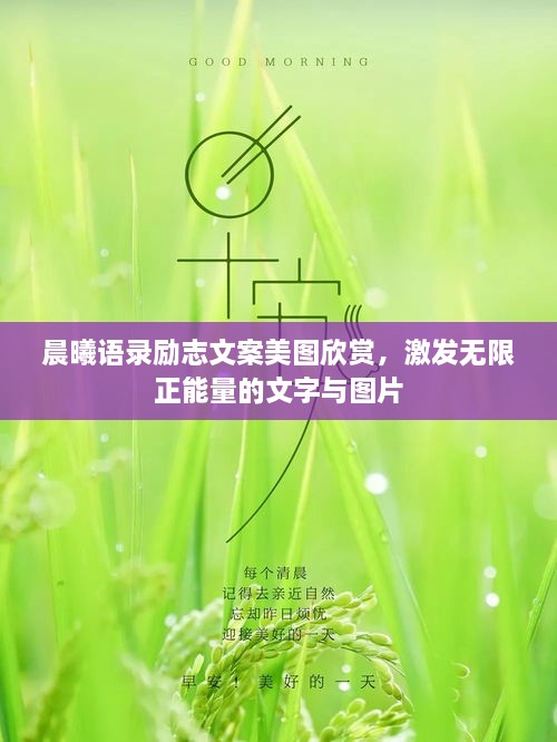 关于我们 第88页