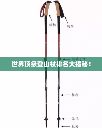 世界顶级登山杖排名大揭秘！