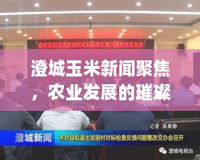 澄城玉米新闻聚焦，农业发展的璀璨明珠，引领产业腾飞