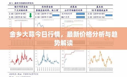 金乡大蒜今日行情，最新价格分析与趋势解读