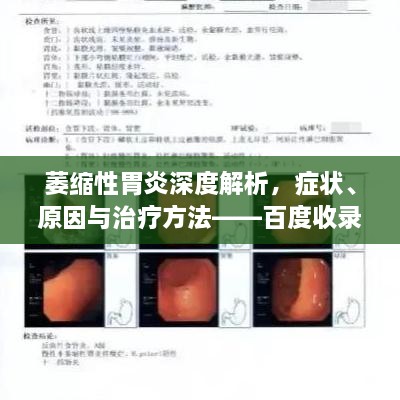 萎缩性胃炎深度解析，症状、原因与治疗方法——百度收录标准标题