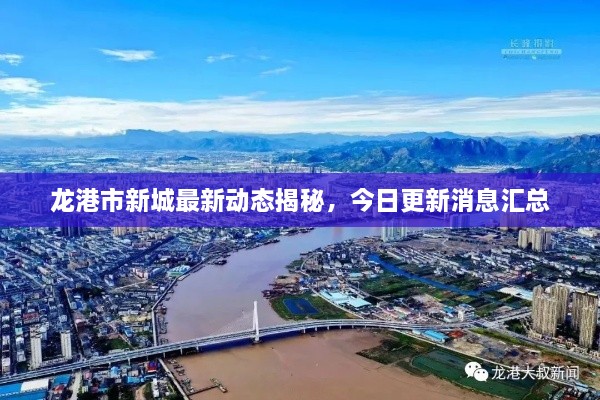 龙港市新城最新动态揭秘，今日更新消息汇总