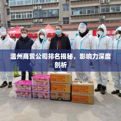 温州商贸公司排名揭秘，影响力深度剖析
