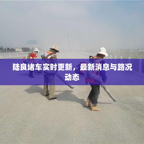陆良堵车实时更新，最新消息与路况动态