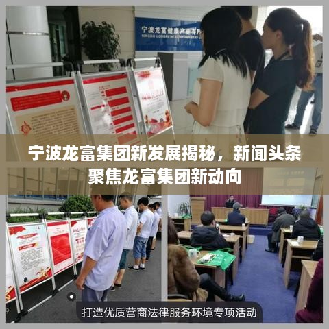 宁波龙富集团新发展揭秘，新闻头条聚焦龙富集团新动向