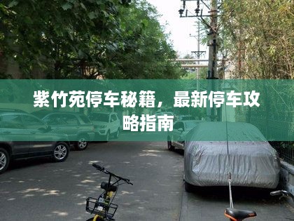 紫竹苑停车秘籍，最新停车攻略指南